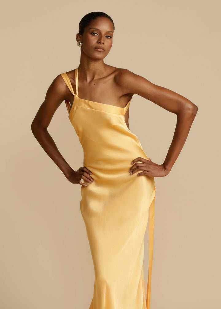 Isabela | Vestido comprido de luxo