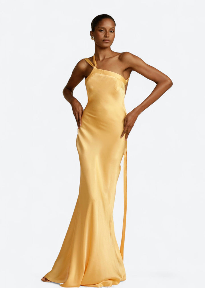 Isabela | Vestido comprido de luxo